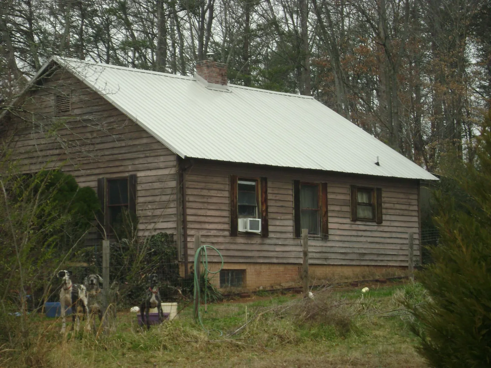 White metal roof on an old wood sided farmhouse, from a Asphalt Shingle Roof Repair job in Nuevo